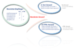 Newsletter System kostenlos